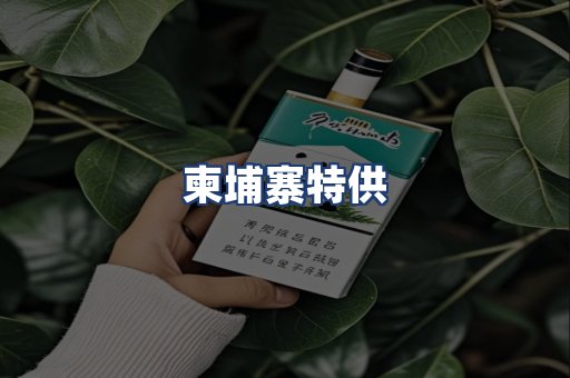 柬埔寨特供